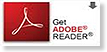 Download Adobe Reader from Adobe.com